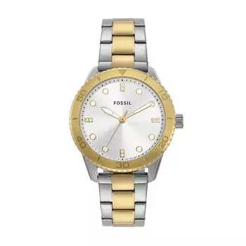 Watch DAYLE BQ3888 Silver Gold [Fossil] Women s &