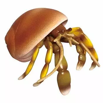 Water Friends Hermit Turtle Hermit Gacha Gacha Capsule Toy Crayfish, Crab, [2. Краб] (Отдельный предмет)