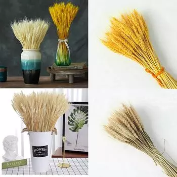 WCIC Новый 50 шт./лот настоящий цветок из колосьев пшеницы натуральные сушеные цветы Свадебная вечеринка DIY Декор украшение дома 50pcs