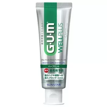 Well Plus Dental Pasta Herb Mint 125G