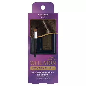 Wellatone Retouch Concealer Dark Brown Gray (Hide Hair)
