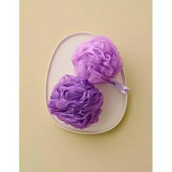 Wessin Mesh Sponge Pack Of 2 Curly Planning
