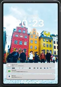 White Tails WhiPad Pro официальная книга товаров 5-е издание