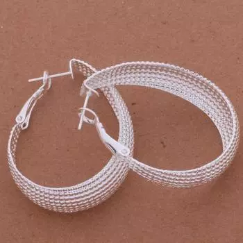 Wholesale High Quality Silver Plated Fashion Jewelry Errrings WE-563