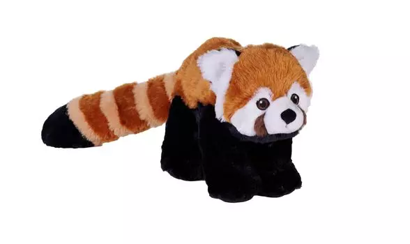 Wild Republic Red Panda Plush Soft and Made from Recycled W20 x D55 x 28504 Toy, Fluffy, Materials, H21cm,