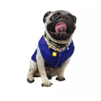 Winter Pet Cotton Jacket Warm Dog Clothes Puppy Coat For Small Medium Dogs Cats Outfit Chihuahua French Bulldog Maltese Clothing XS