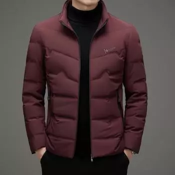Winter thickened men s down jacket loose large size casual jacket cold-resistant young and middle-aged men stand-up collar short style M