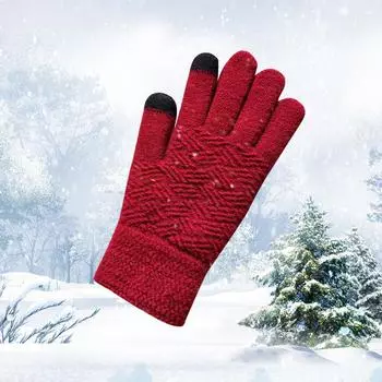 Winter Women s Thickened Velvet Finger-covered Gloves Knitted Anti-freeze Warm Life Touch Screen Magic Gloves One size