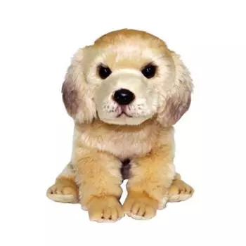 Witherpet Golden Retriever Sitting Puppy Plush, 25 см, разные цвета, Популярные игрушки для корейских детей