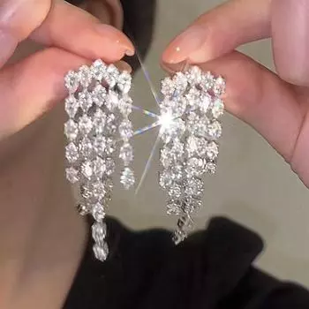 Women s Shiny Diamond Tassel Accessible Luxury South Korea Online Influencer Refined Fancy Ins Earrings Silver needle