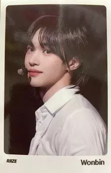 Won Bin Goods Фотокарточки Набор из 56 карточек с сообщениями Poca Trading Card Rise (РИИЗЕ ВОНБИН) [Элемент]