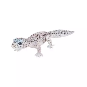 Woobia Leopard Gecko Black and White x x 4cm Doll Figure Ornament Animal Garden Decoration Lizard 18.5 7.5 H17338-1