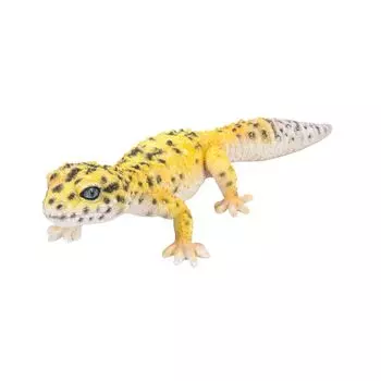 Woobia Leopard Gecko Yellow xx 4 см кукольная фигурка украшение животное садовое украшение ящерица H17338 18.5 7.5