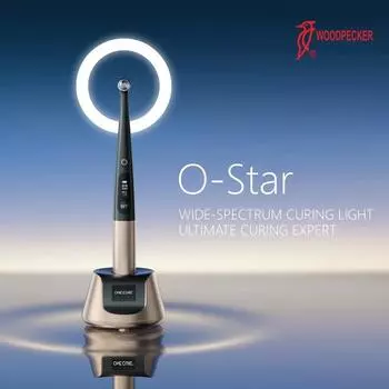 Woodpecker O-Star Стоматологическая полимеризационная лампа Светодиодная лампа для полости рта Светочувствительная лампа для отбеливания зубов Беспроводная смола для пломбирования EU Plug чёрный