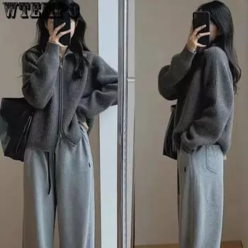 WTEMPO Длинный рукав вязаный свитер женский весна осень ретро корейский стиль лацкан застежка-молния вязаный кардиган свободный утолщенный верхняя одежда One Size розовый