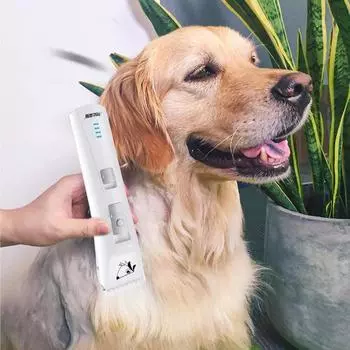 Xiaomi перед заказом, пожалуйста, обратите внимание: Это продукция экологической сети Xiaomi [на ней нет логотипа Xiaomi] белый