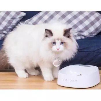 Xiaomi PETKIT Миска для кормления домашних животных Автоматическое взвешивание еды Миска для корма для собак Цифровая миска для кормления Подставка для кормушки для собак Поилки