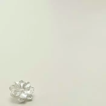 Xiaoxiang Элегантный ветер Гардения Пион Цветок Одежда Декоративные пуговицы Костюм Куртка Меховая шуба Пуговицы 1 #[Gardenia White] 25mm