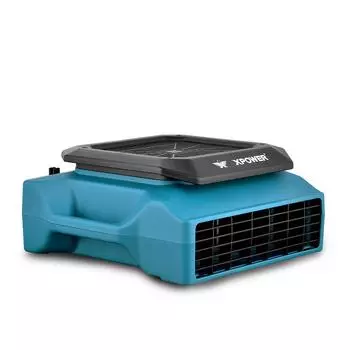 XPOWER PL-700A Профессиональный низкопрофильный воздуходувка Выходы Ковер Туалет Газон Дом Отель Супермаркет Низкопрофильный воздуходувка UK синий