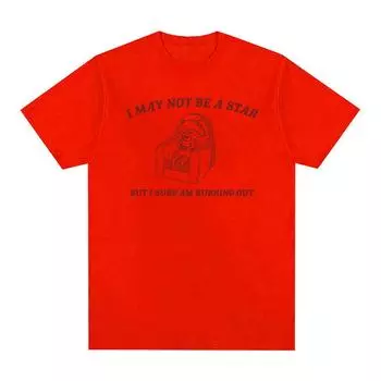 Я не могу быть звездой, но я горю енотом, забавные футболки с мемами, мужская и женская модная повседневная хлопковая футболка большого размера, одежда S чёрный