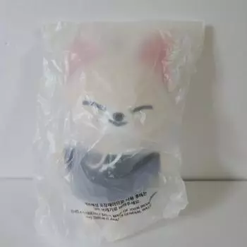 Я — оригинальная версия школы магии Скьюджу, Фоксини