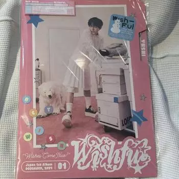 Я провожу частные занятия с Nct Wish Wish Pool