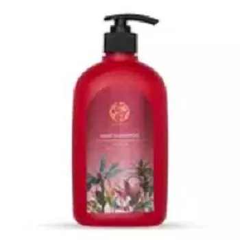 Yahvi Onion Shampoo Шампунь против выпадения волос 500мл