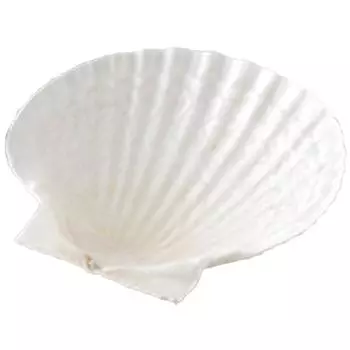 Yamashita Crafts 42024120 Блюдо Natural Scallop Medium 12 x 12 x 5 см