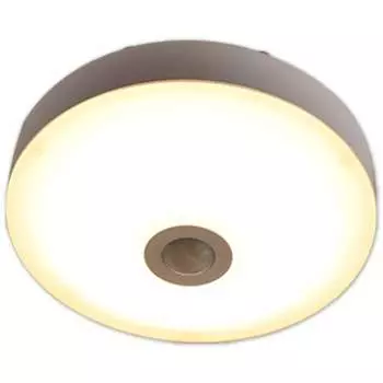 Yamazen LED Mini Ceiling Light Ceiling Light (With Motion Sensor) Incandescent Bulb 40W Equivalent Bulb Color No Construction Required MLC-S045L