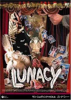 Ян Шванкмайер «Безумие» [DVD]