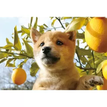 Yanoman 108 Piece Jigsaw Puzzle Kun-kun! Good Smell Large Piece (26x38cm)