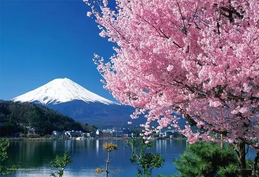 Yanoman 108 Piece Jigsaw Puzzle Sakura and Fuji Large Piece (Yamanashi) (26x38cm)