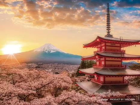 Yanoman 150 Piece Jigsaw Puzzle Fuji and Cherry Blossoms Paris Mt. [Petit Clear]