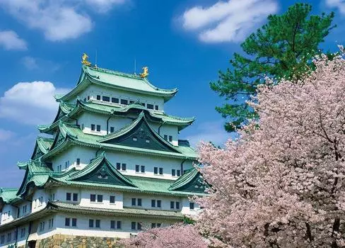 Yanoman 500 Piece Jigsaw Puzzle Nagoya Castle Cherry Blossom Season (Aichi) (38x53cm) 05-1004
