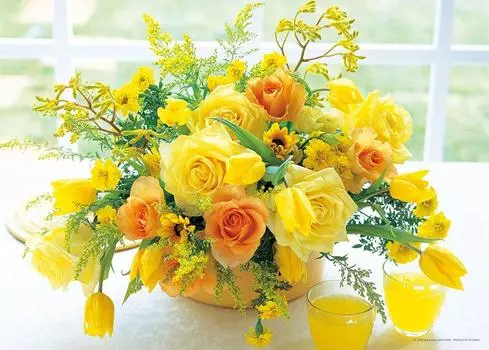 Yanoman 500 Piece Jigsaw Puzzle Yellow Harmony (38x53cm) 05-1006
