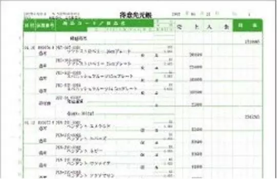 Яёй гроссбух 332007 двойного назначения (для клиентов/поставщиков)