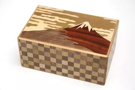 Японская головоломка 21 шаг Fuji и Tsubaki