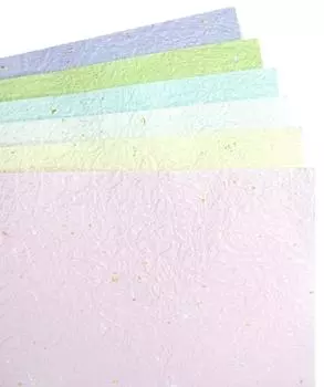 Японские цвета пихты японская бумага B4 размер 24 (пастельные тона, листы)