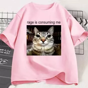 Ярость поглощает меня Футболка с мемом «Глупый уставившийся кот» Повседневные футболки с коротким рукавом Мужские и женские футболки с надписью «Любитель кошек» Большие размеры S