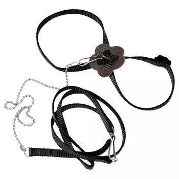 Ящерица Рептилия Ящерица Шлейка Регулируемая Прогулочная Контроль Тяговый Поводок для Рептилий Улица чёрный