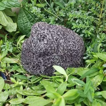 Ящик для хранения ключей из камня из смолы, устойчивый к атмосферным воздействиям, открытый сад, двор, лужайка, имитация каменной статуи, скульптура, украшение для дома, держатель для запасных ключей, секретный держатель темно-серого