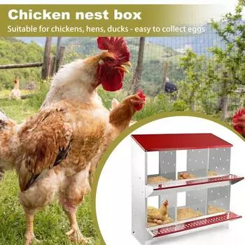 Ящик для хранения куриных яиц Yousheng Metal, 6 отделений, ящик для хранения куриных яиц, металлическая конструкция, настенное крепление, простая сборка, ящик для хранения куриных яиц A