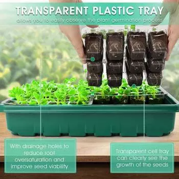 Ящик для рассады с куполом для увлажнения 24 ячейки или 48 ячеек Прозрачные семена S зелёный