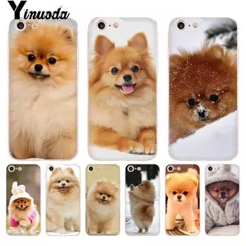 Yinuoda Померанский шпиц, красочный милый чехол для телефона для iphone 13 8 7 6 6S Plus X 10 5 5S SE XR XS XSMAX11 11pro 11promax iPhone XR
