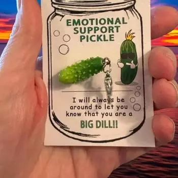 Yousheng 1/2/3 комплекта эмоциональная поддержка брелок для ключей в виде соленья кулон с карманом объятия открытка тонкая работа металлический смоляной брелок позитивный подарок 1 Set