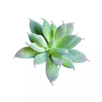 Yousheng 1 шт. искусственный цветок мини суккулентное растение свадебная вечеринка домашний стол бонсай декор