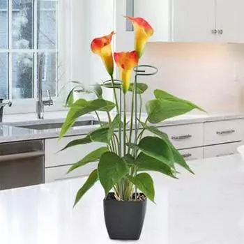 Yousheng 4/8 шт. опорные стойки для растений 24/36-дюймовые садовые стойки съемная опорная рама для цветов роз томатов пионов 4pcs A