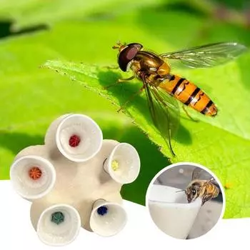 Yousheng 5Pcs Bee Insect Watering Cup Resin Bee Butterfly Drinking Station Pollinator Watering Cup for Outdoor Garden Courtyard Decor A