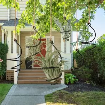 Yousheng 6 шт. держатель для воздушных растений металлический подвесной контейнер для тилландсии регулируемый вихревой держатель для воздушных растений для домашнего офиса балкона садовый декор Sets