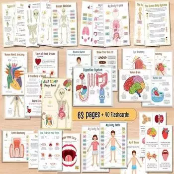 Yousheng Анатомия человека Занятия Книга Дошкольный Детский Сад Дети Части Тела Обучающие Занятия Книга Интерактивная Образовательная Секреты Тела Раскрытие Книги A